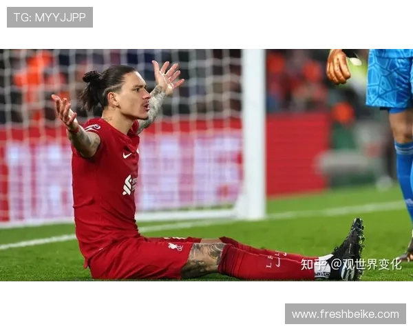 努内斯：我们本有机会改变比赛结果但未能把握进球机会