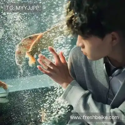 华熙皎